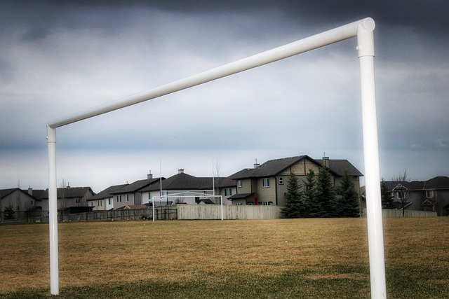 的传奇射手 的传奇射手