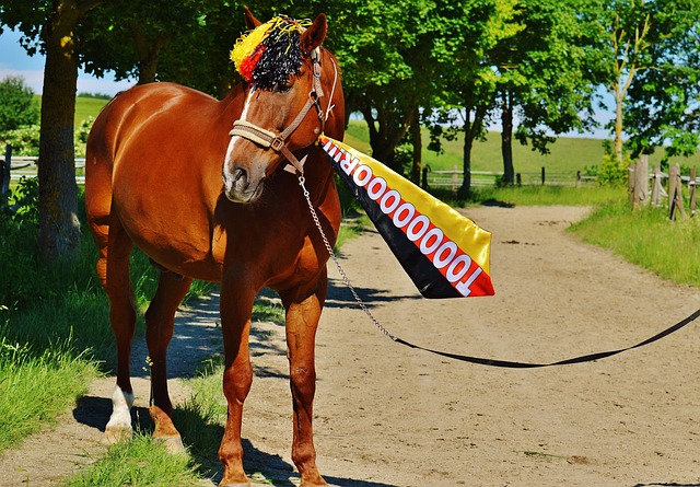 初被忽视 初被忽视