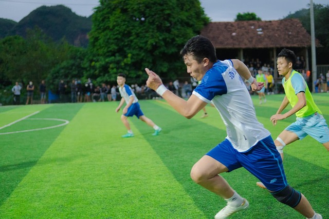 普勞斯在每 普勞斯在每