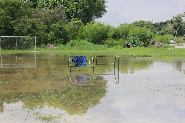 是一场普通 是一场普通