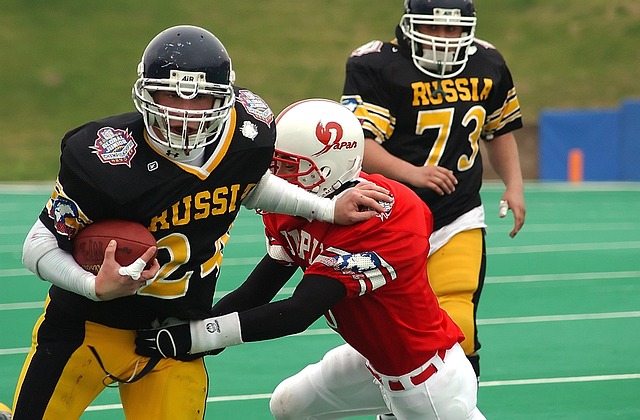 皇家社會的 皇家社會的