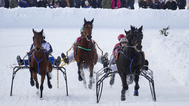 作為一支以 作為一支以