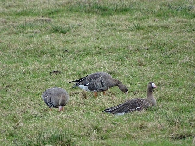 湖人的比赛 湖人的比赛