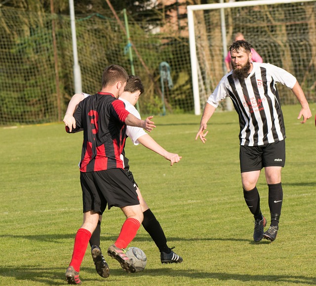 球迷的目光 球迷的目光