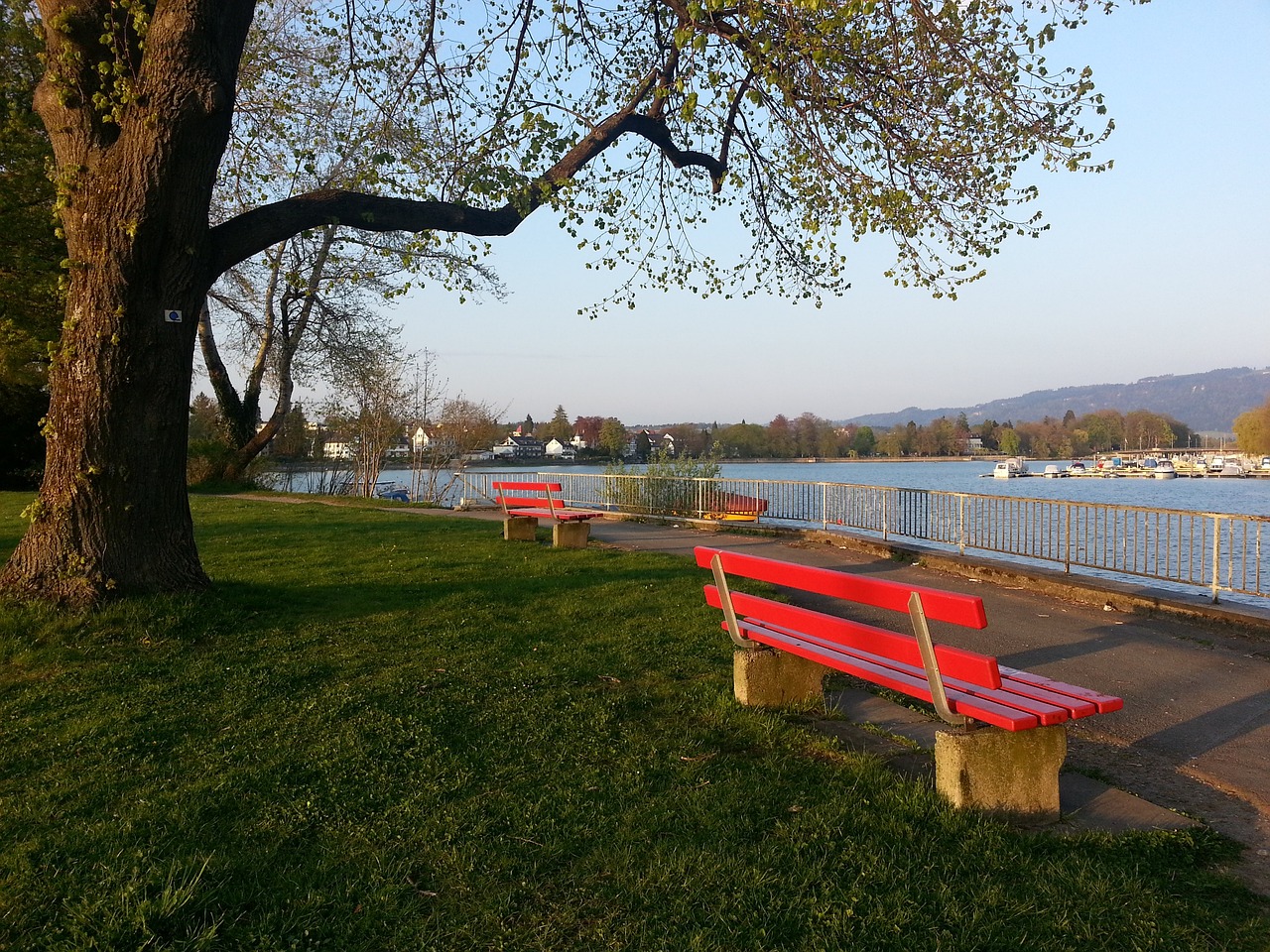 围棋比赛已 围棋比赛已