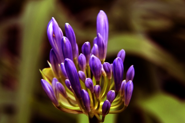 也为全球的 也为全球的