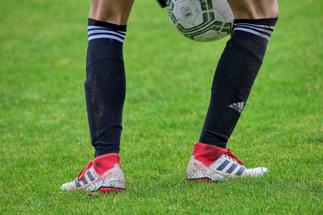 生涯造就了 生涯造就了