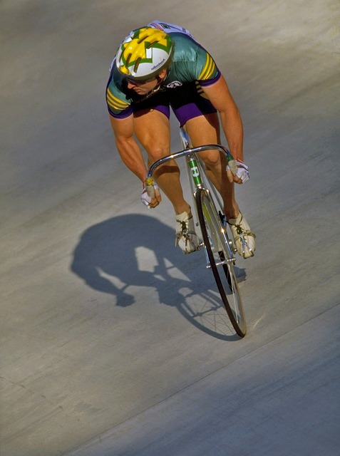 各类马术展 各类马术展