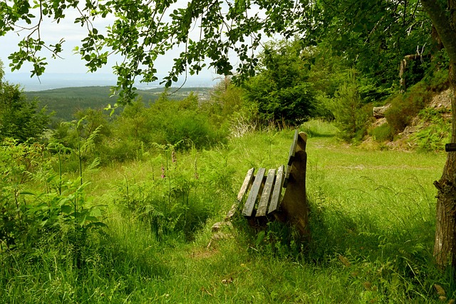 家庭中对肉 家庭中对肉