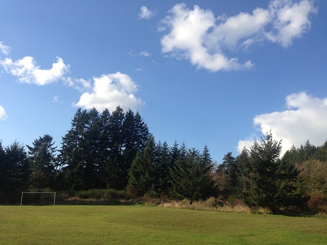 够的薪资空